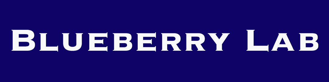 Blueberry LAB