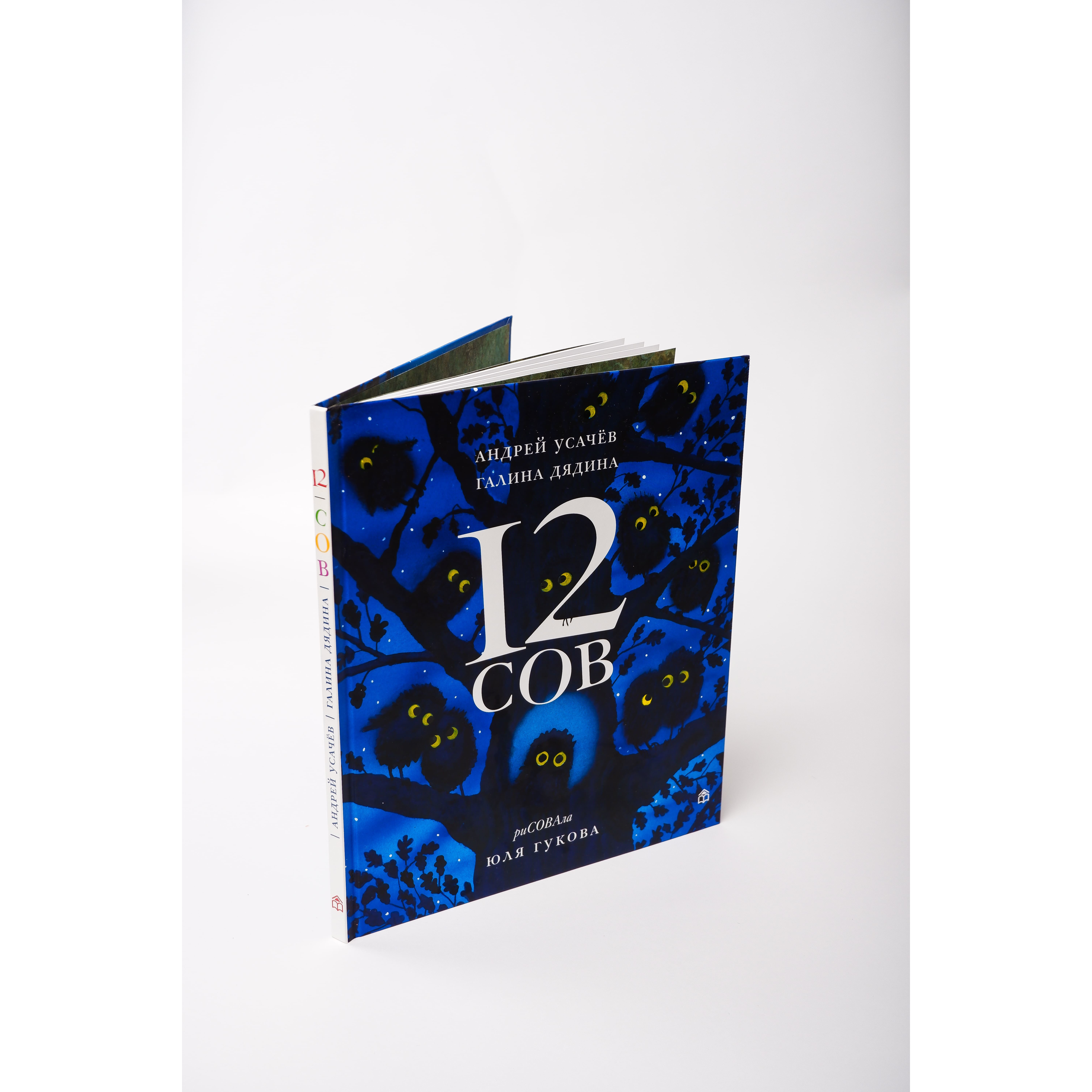Книга «12 сов»