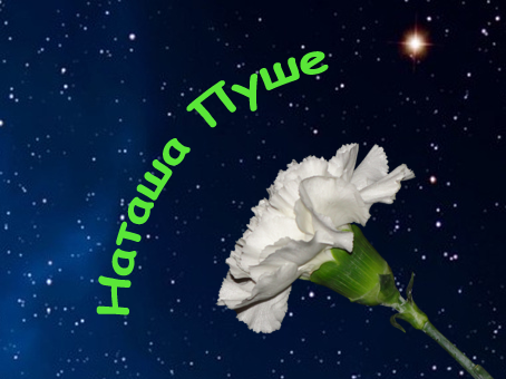 Наташа Пуше