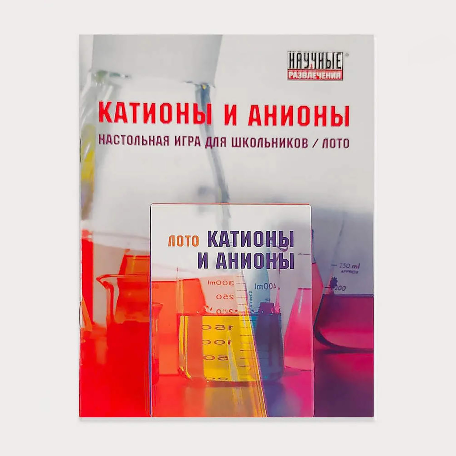Лото «Катионы и Анионы»