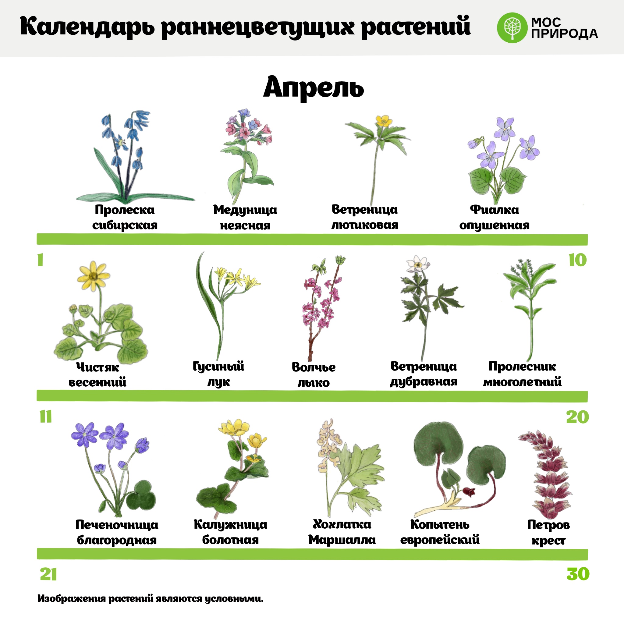 Аллергены в москве сегодня карта