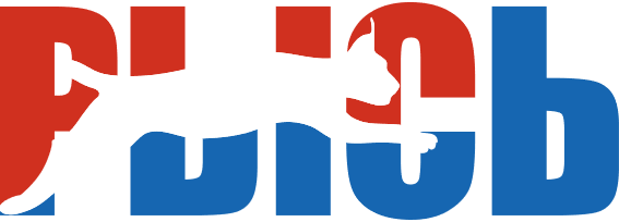 Рысь