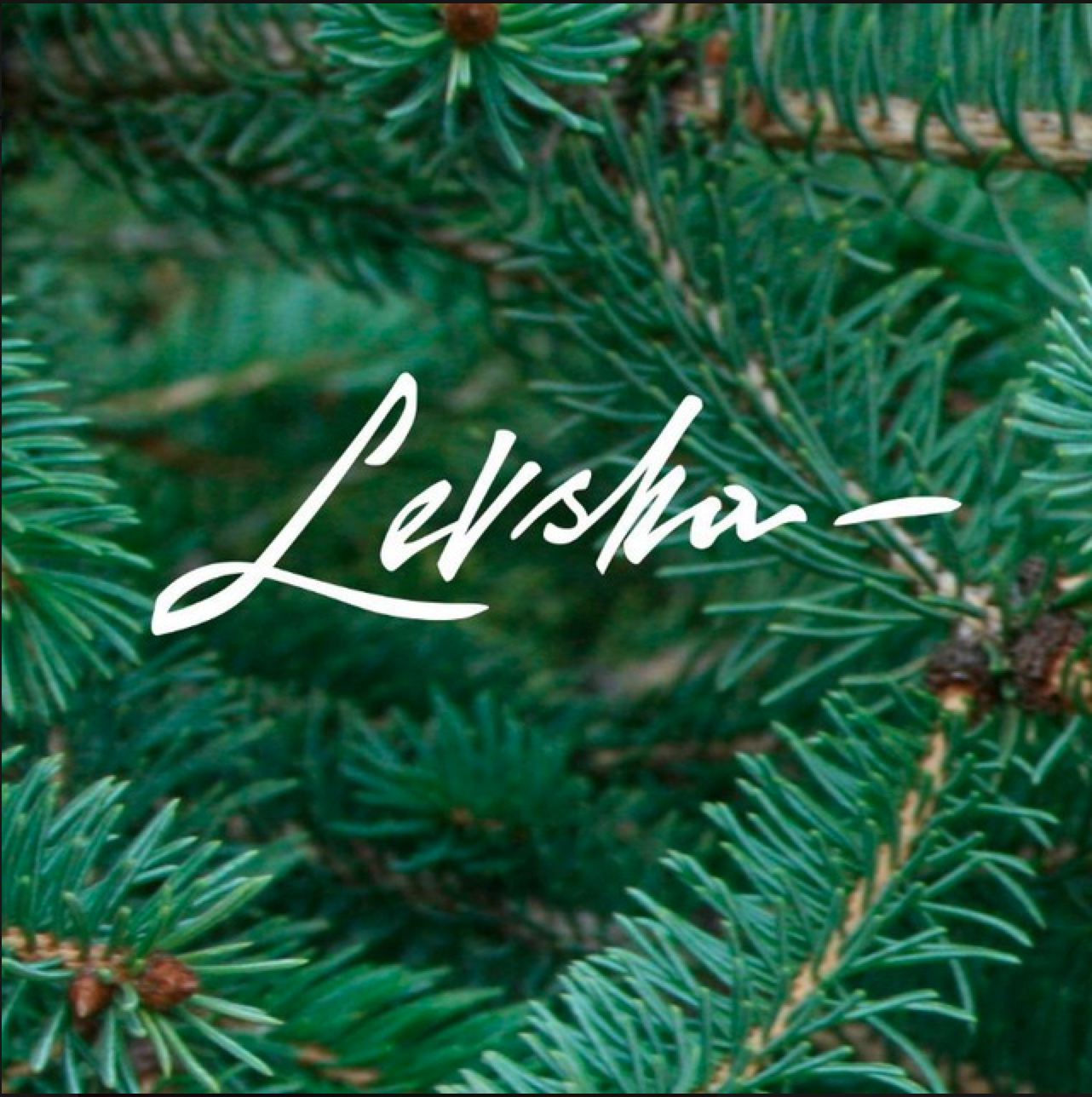 Levsha Leather Story