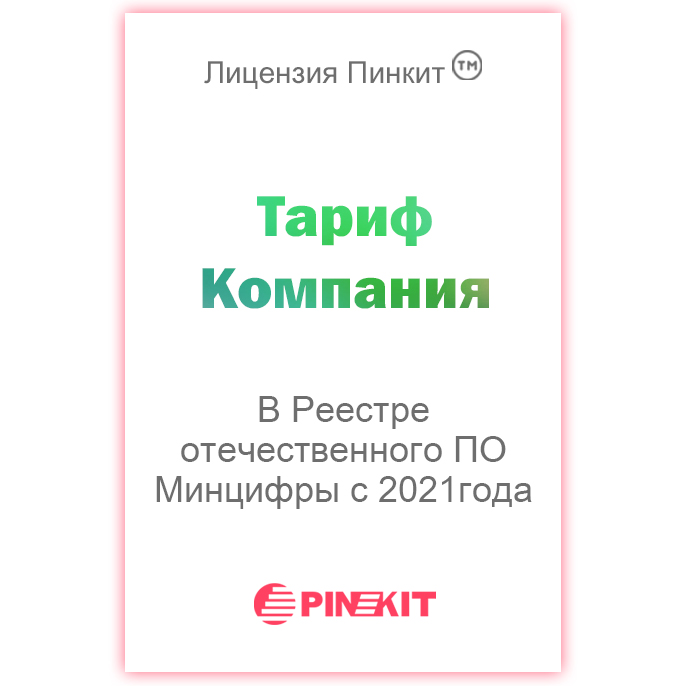 Лицензия Пинкит, тариф «Компания» (12 месяцев)