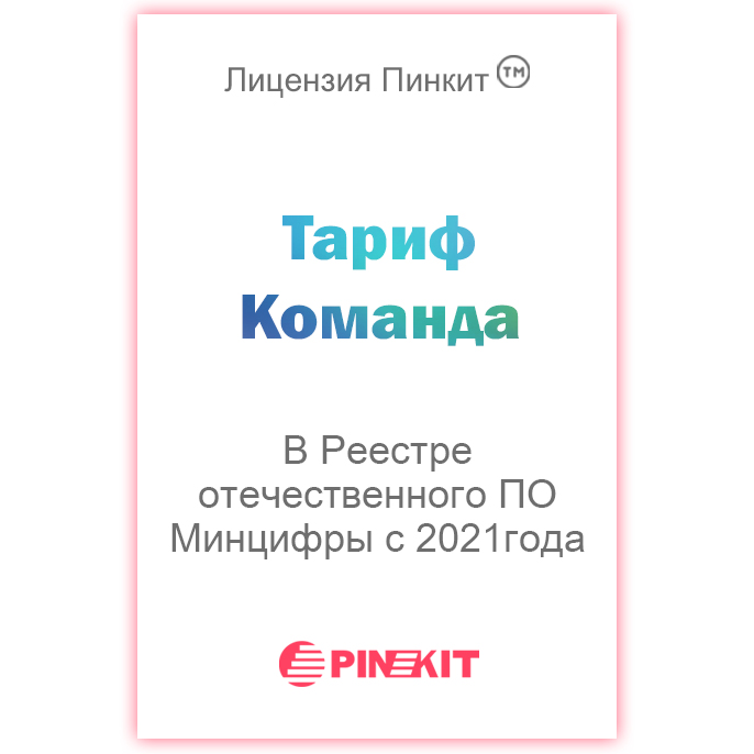 Лицензия Пинкит, тариф «Команда» (12 месяцев)