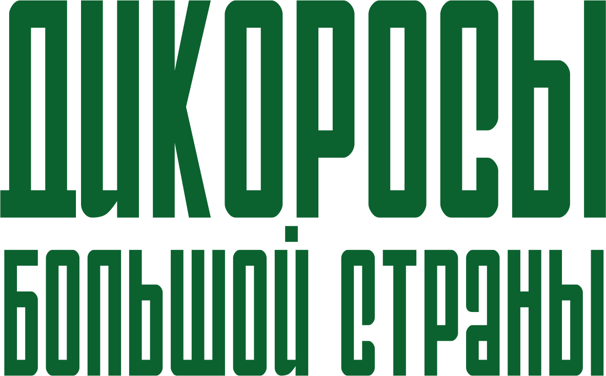 Дикоросы большой страны