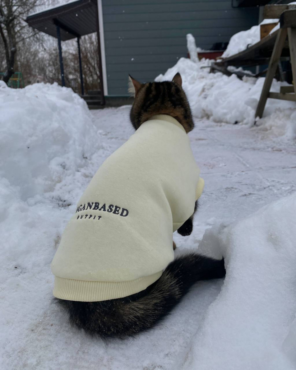 Свитшот для Кошек