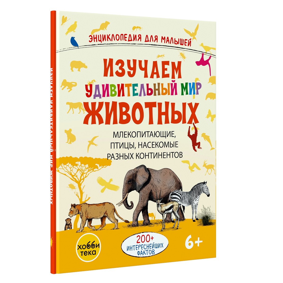 Изучаем удивительный мир животных