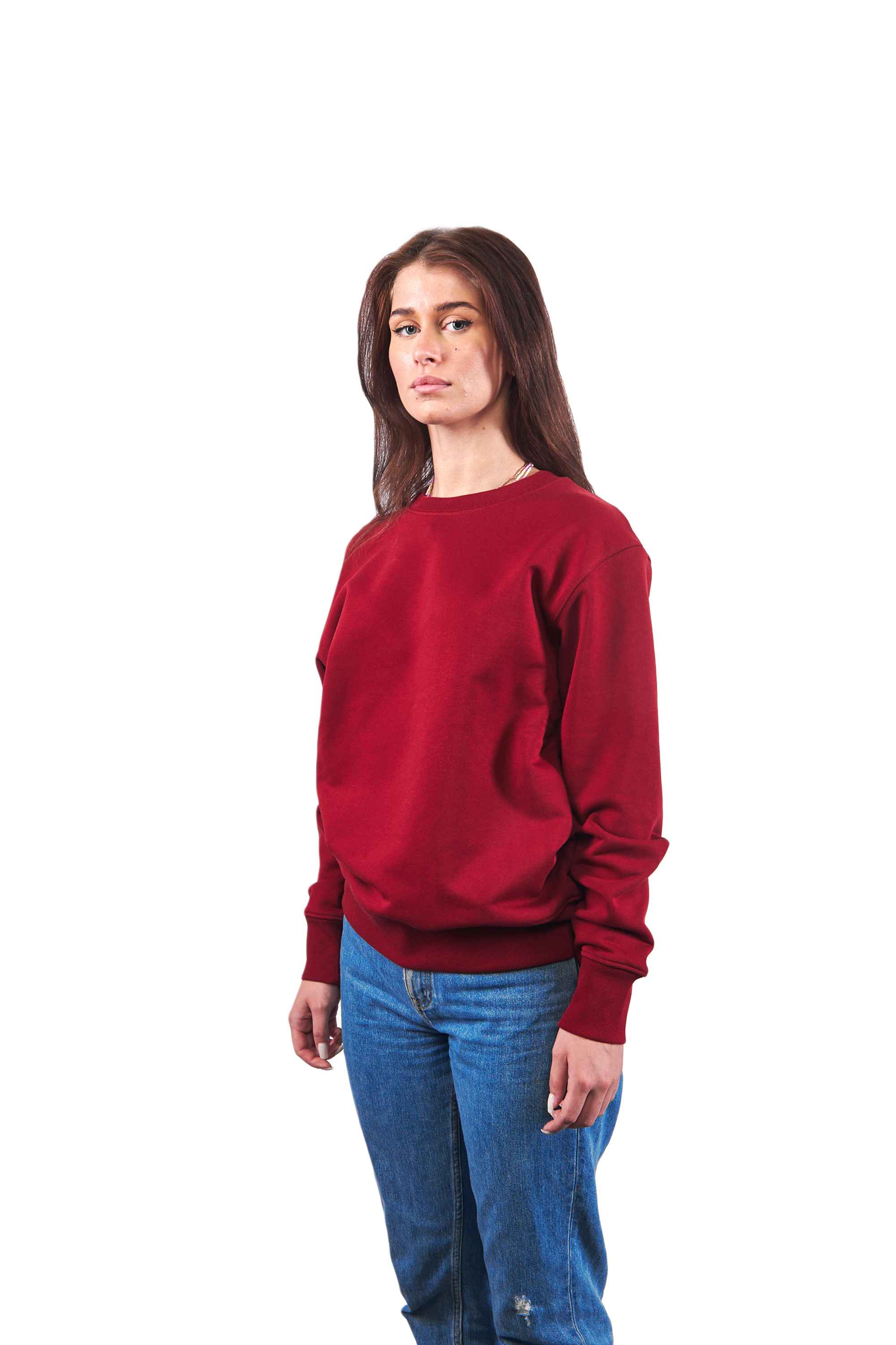 Классический «Свитшотус»