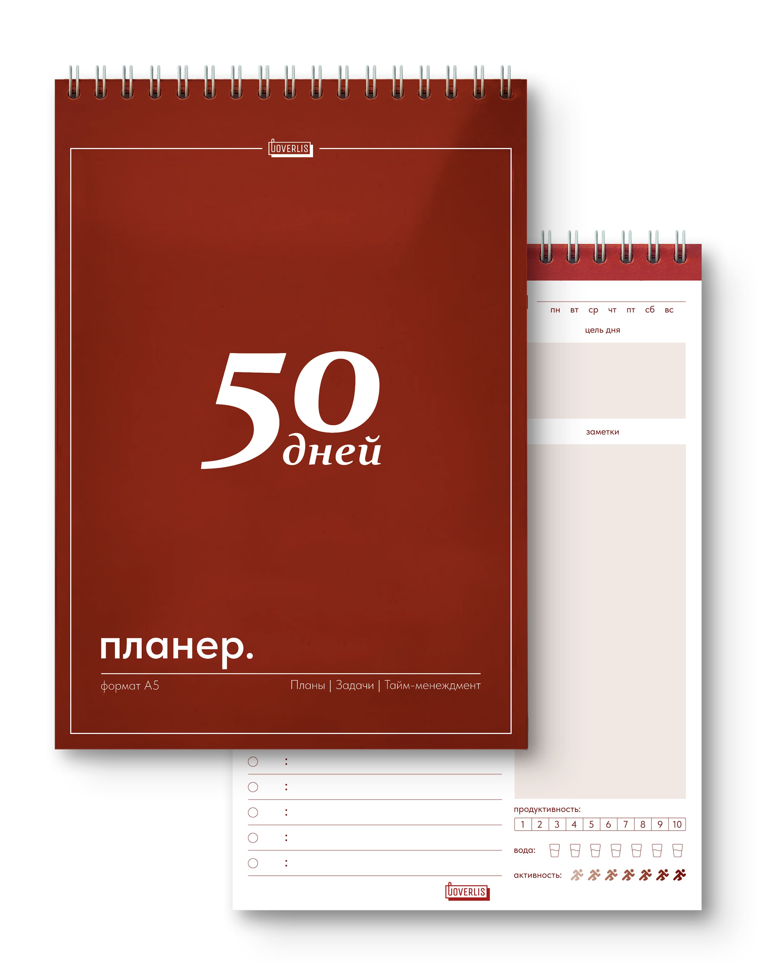 Планер ежедневник, недатированный на 50 дней, А5