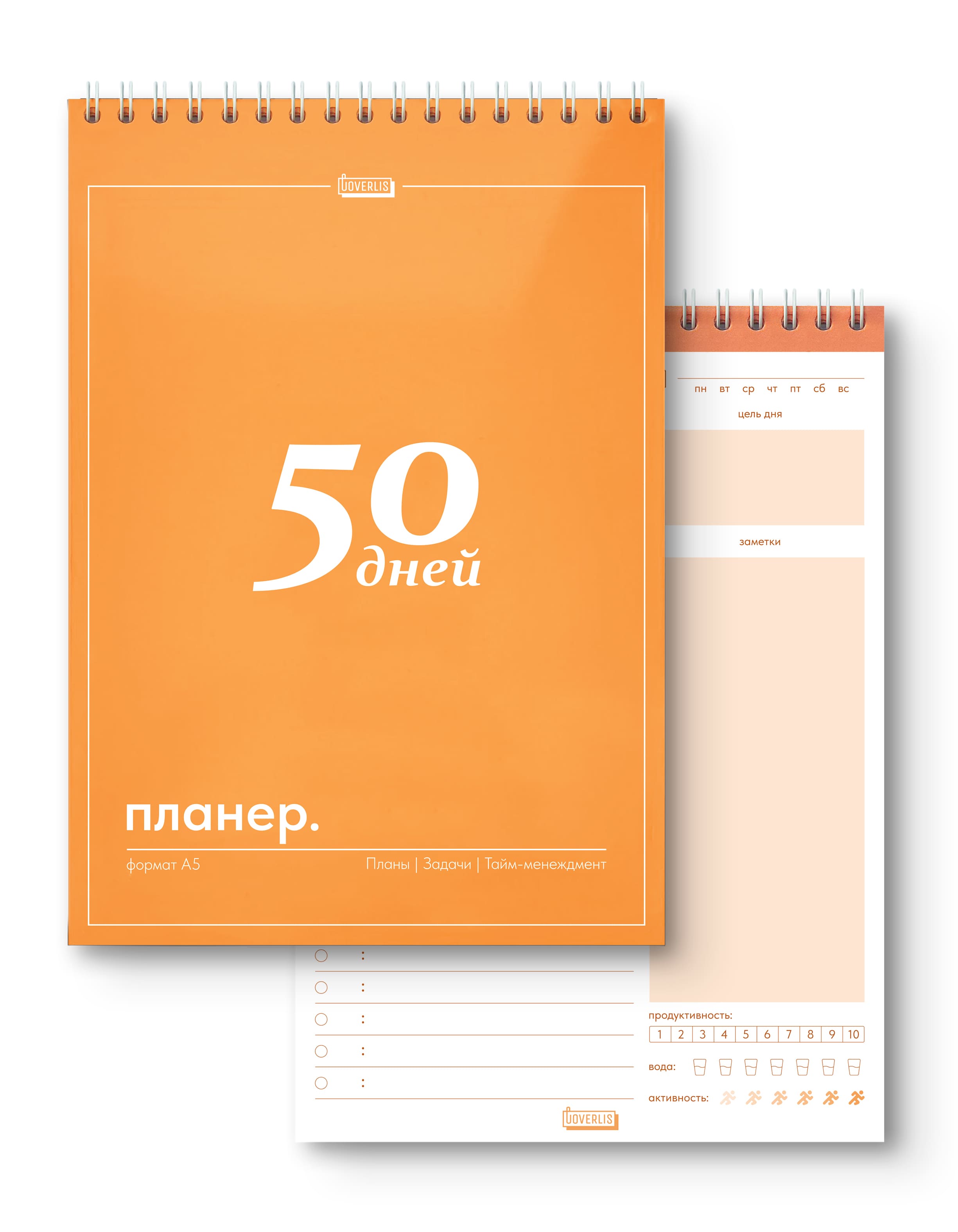 Планер ежедневник, недатированный на 50 дней, А5