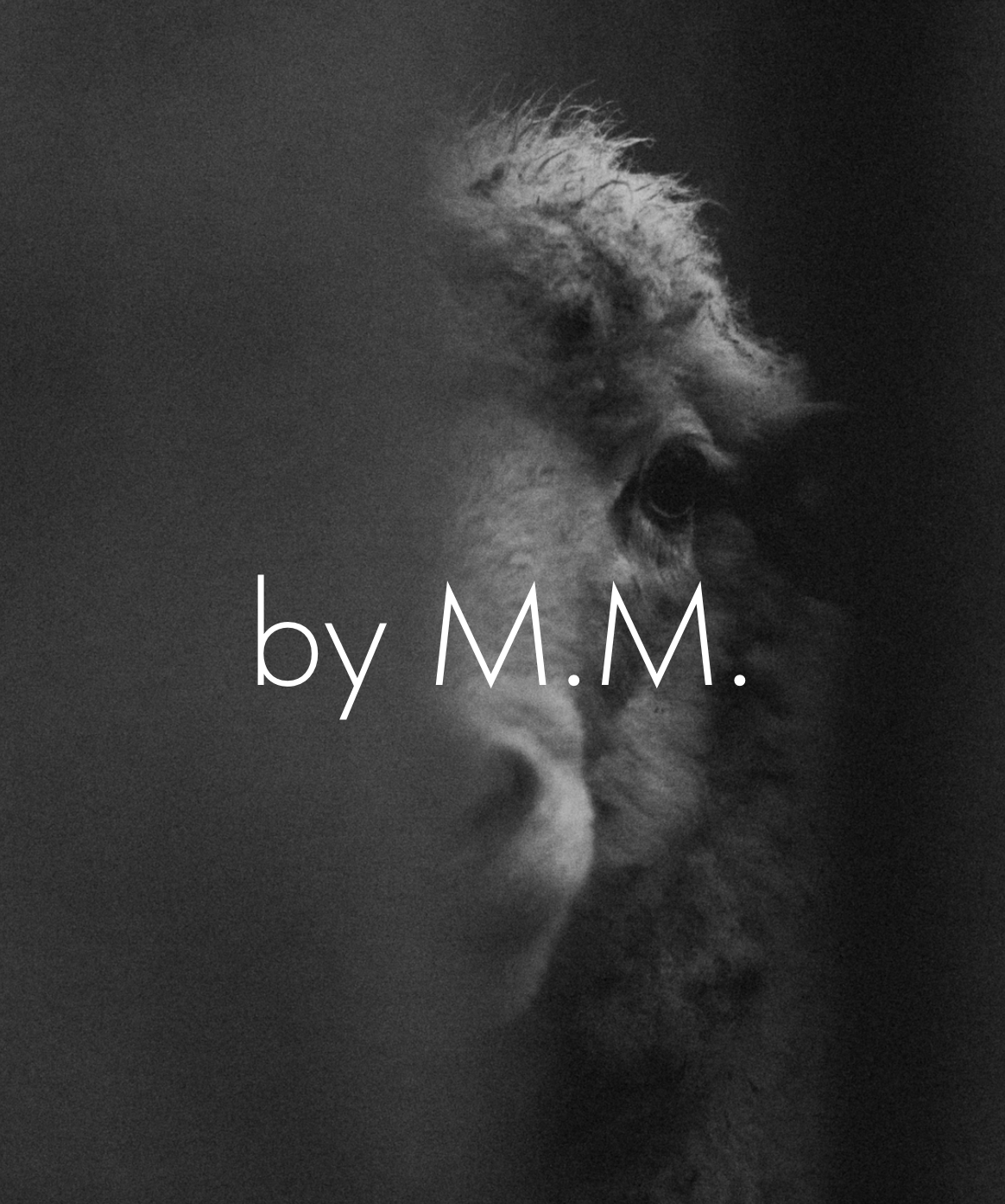уютный мир меха by M.M.