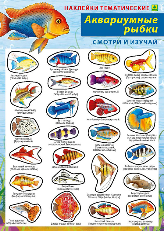 Аквариумные рыбки. Наклейки тематические + поле для наклеек.