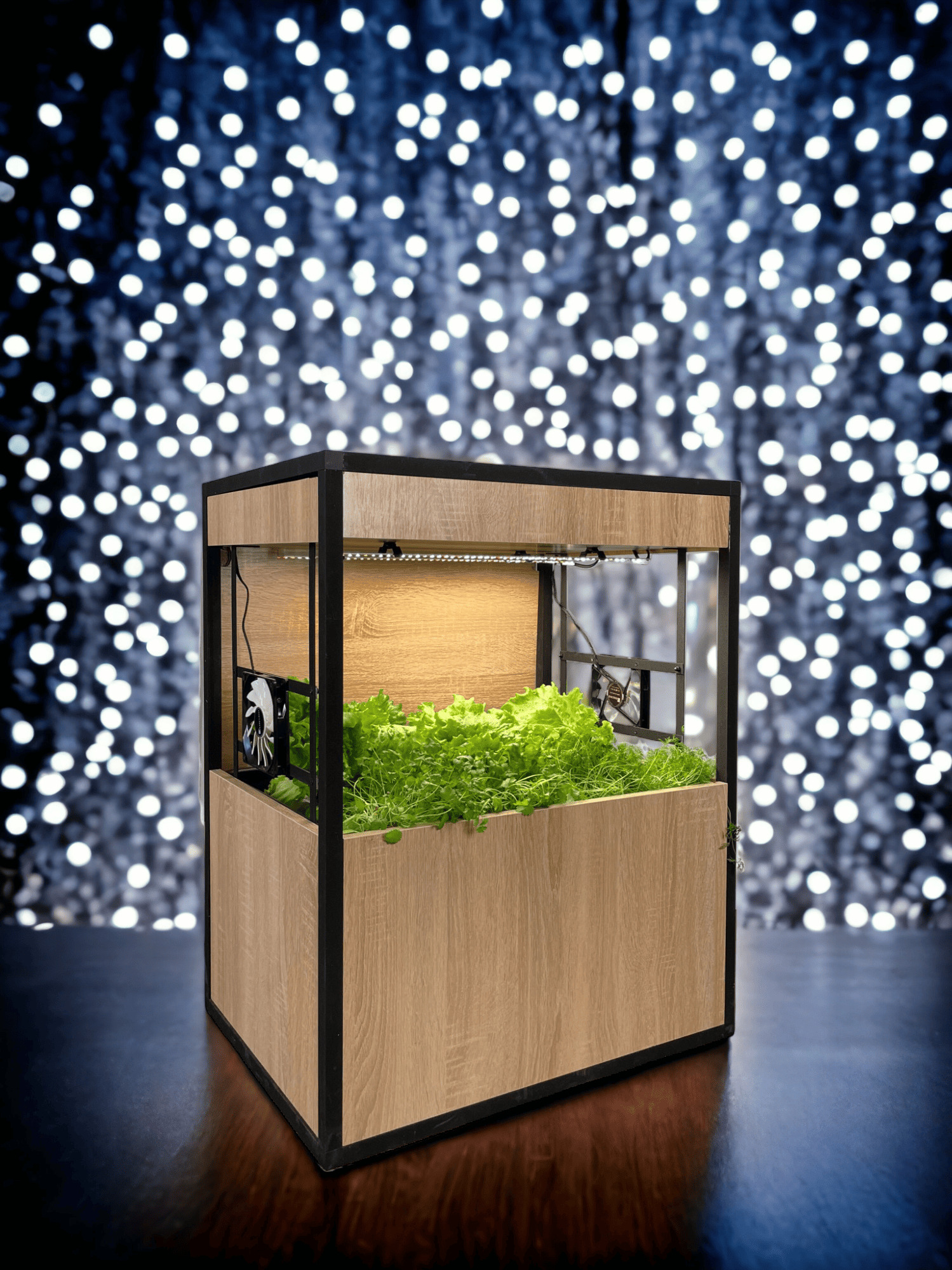 GRONICS MINI