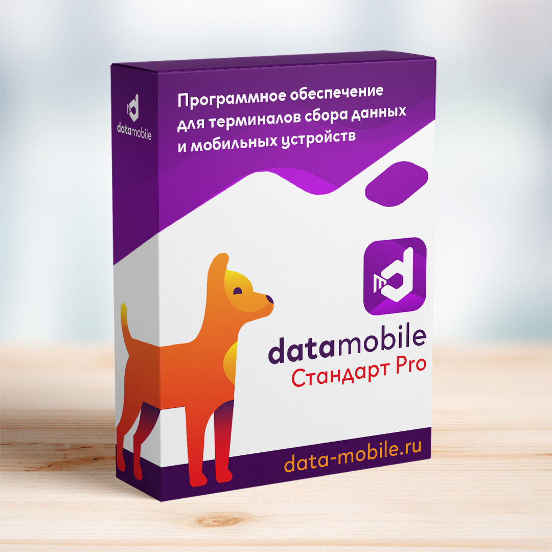 DataMobile Стандарт Pro