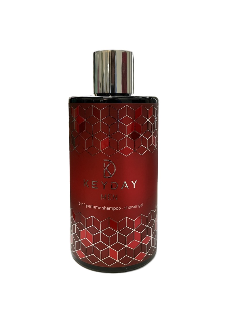 Keyday MEN 2-in-1 шампунь-гель с экстрактом алоэ и ментолом