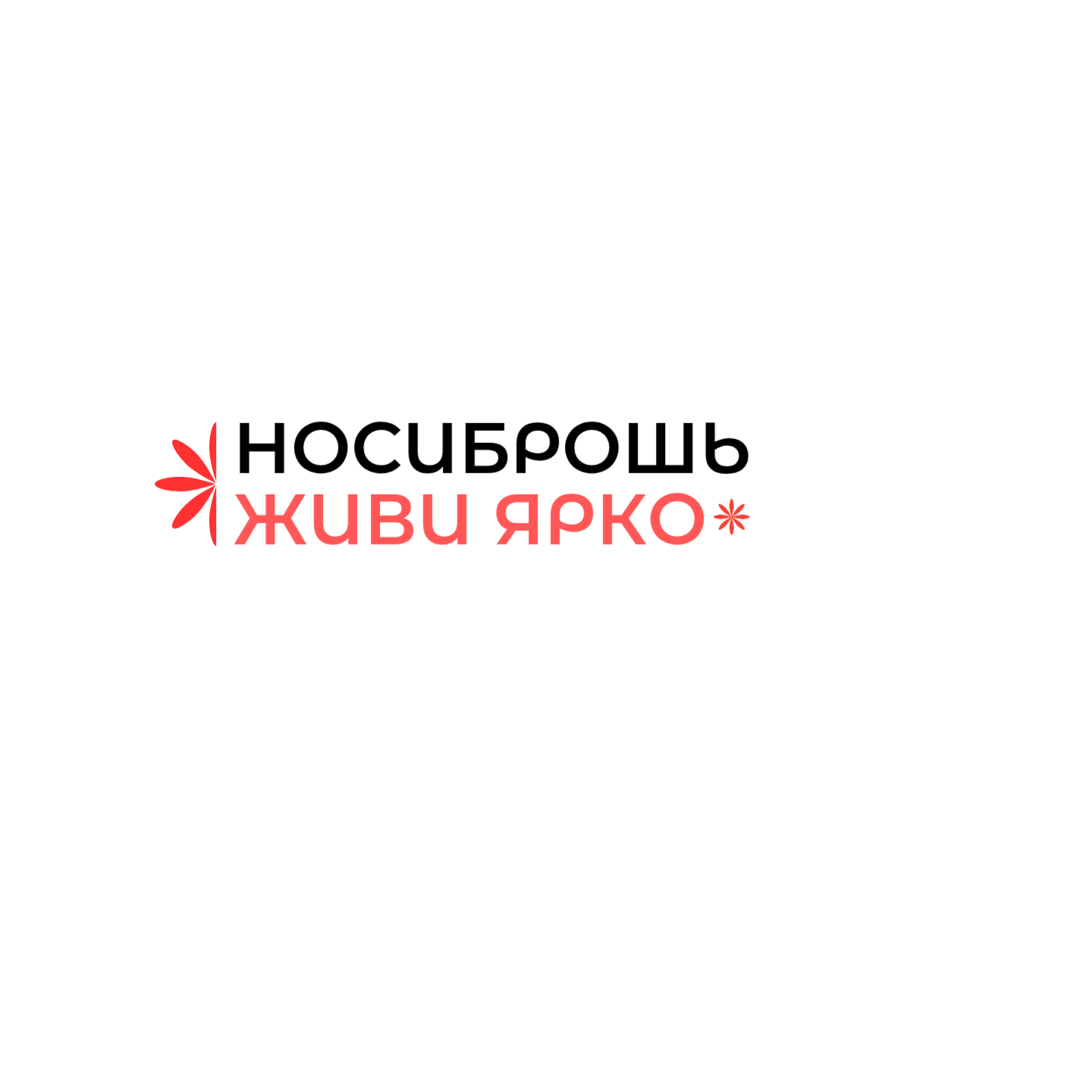 НосиБрошь