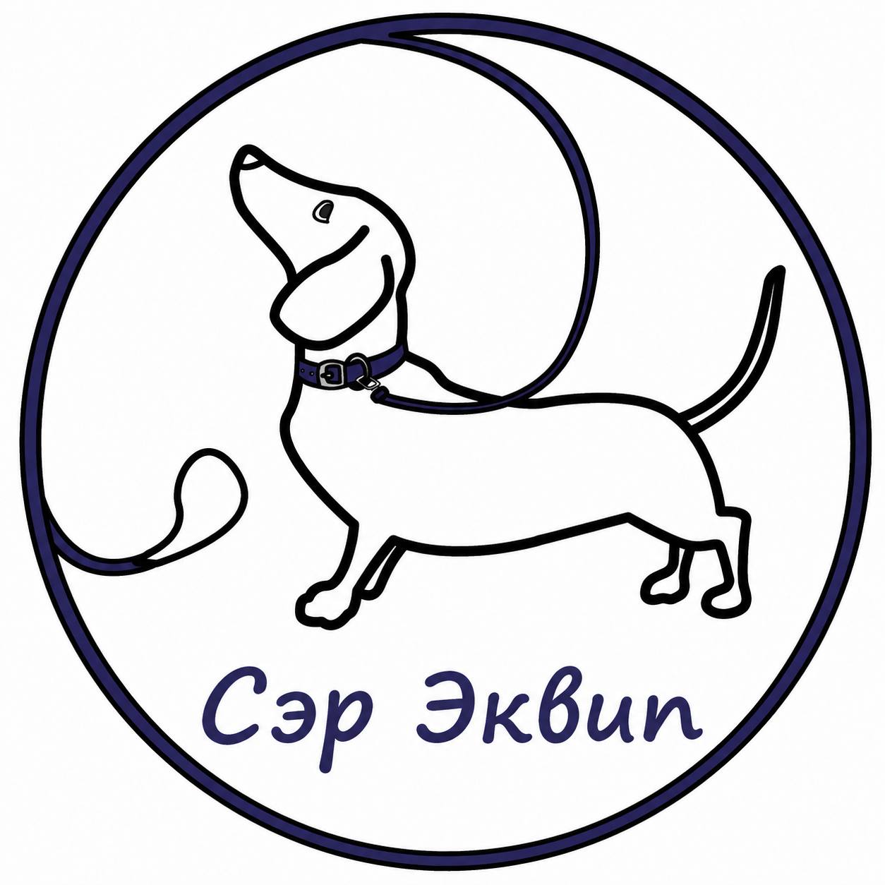 Сэр Эквип