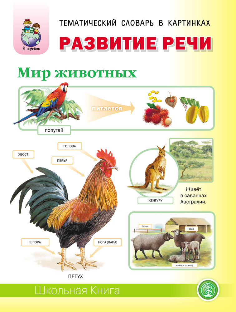 РАЗВИТИЕ РЕЧИ «МИР ЖИВОТНЫХ»