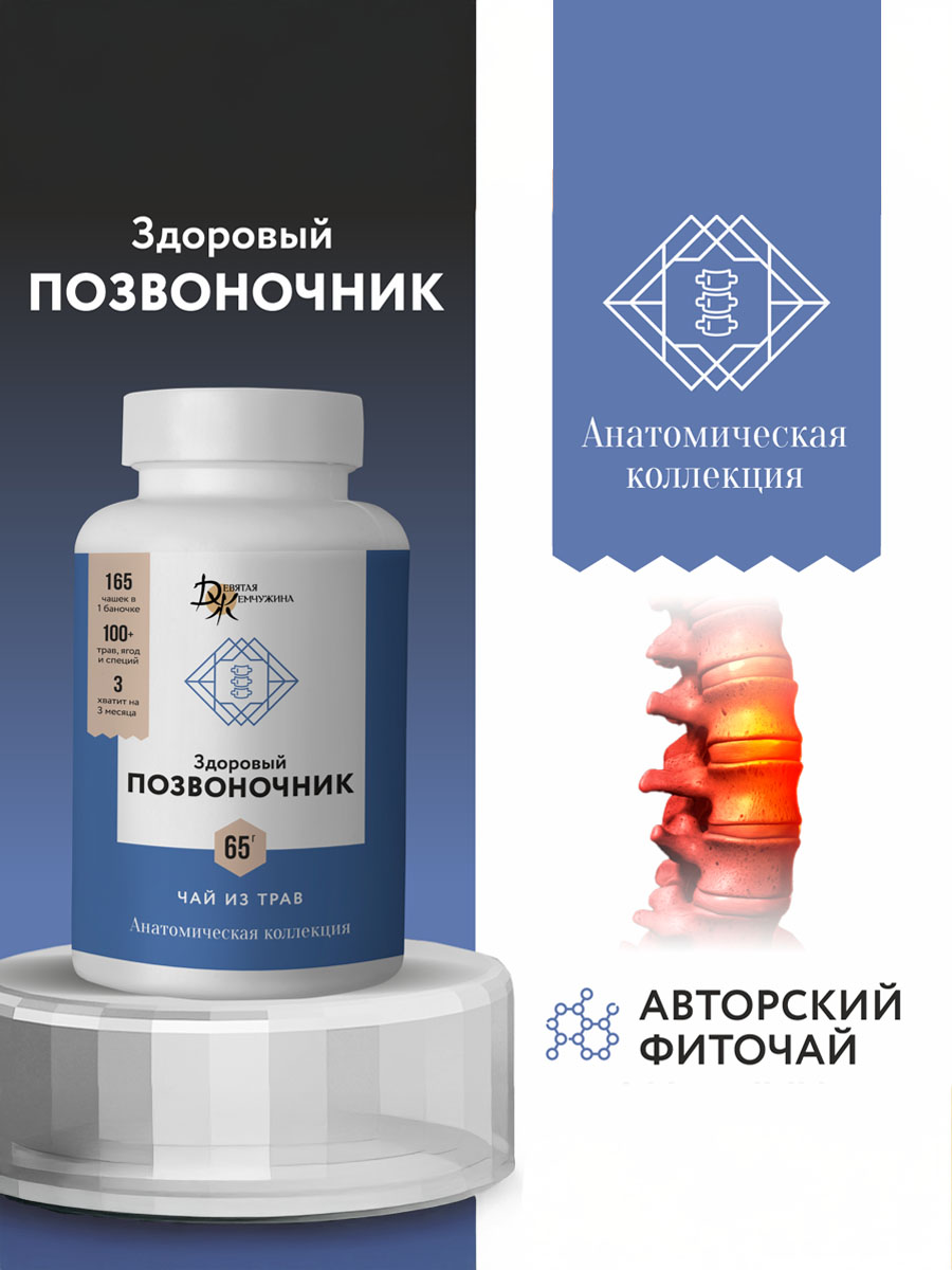 Здоровый позвоночник