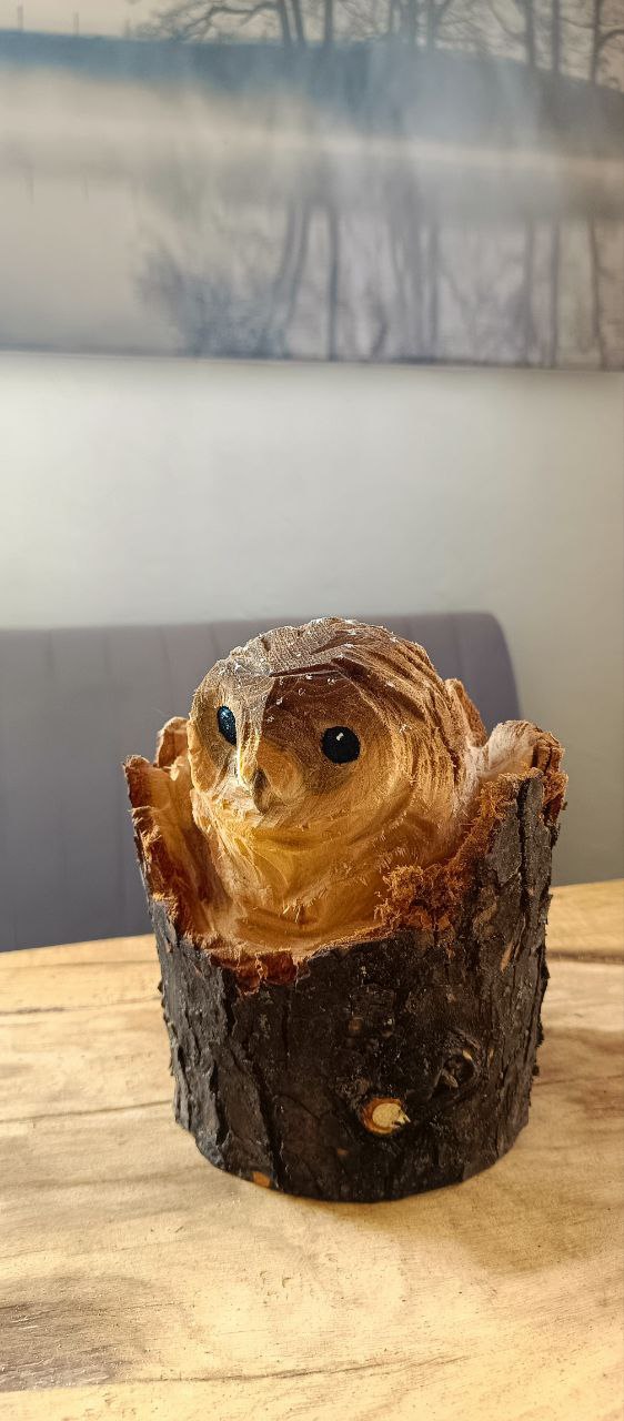 Сова в пеньке