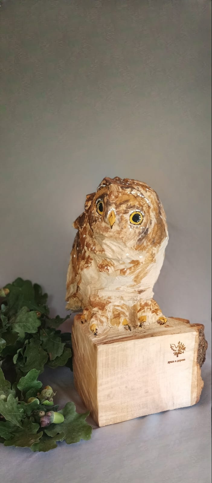Сова