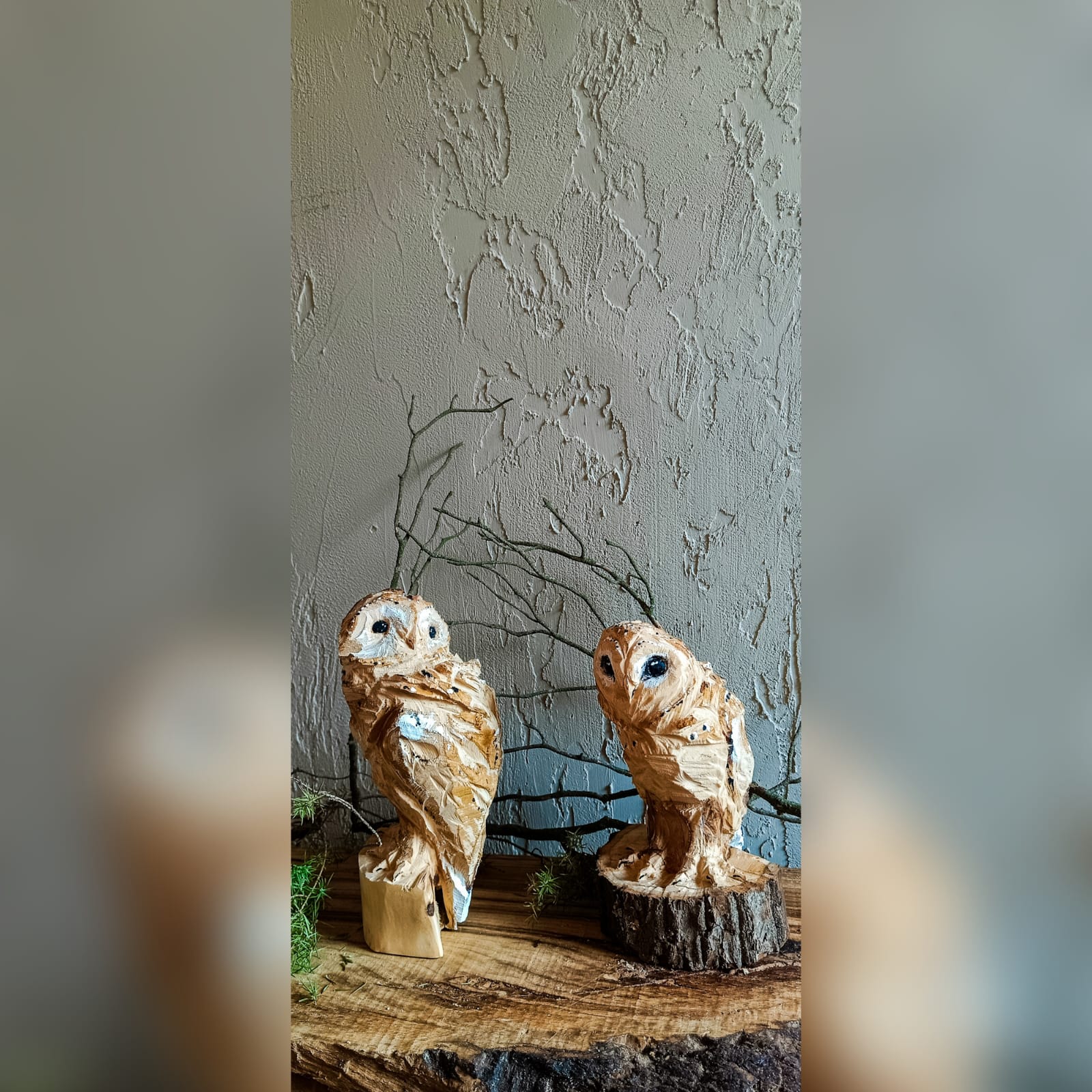 Совушки