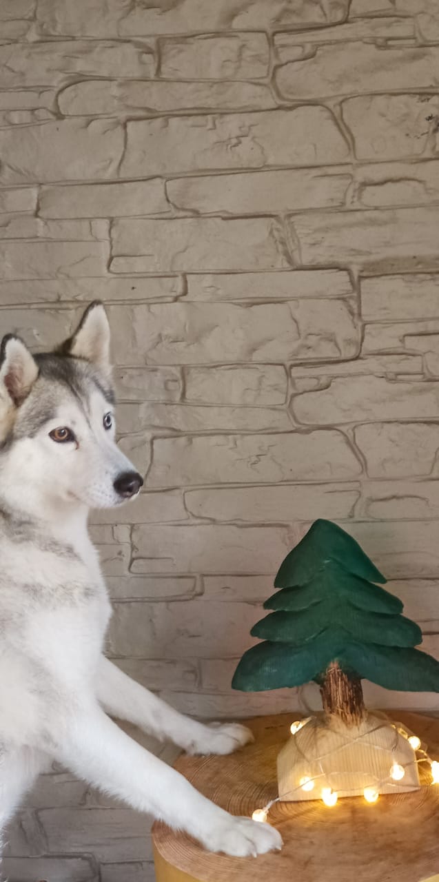 Ëлочка из дерева