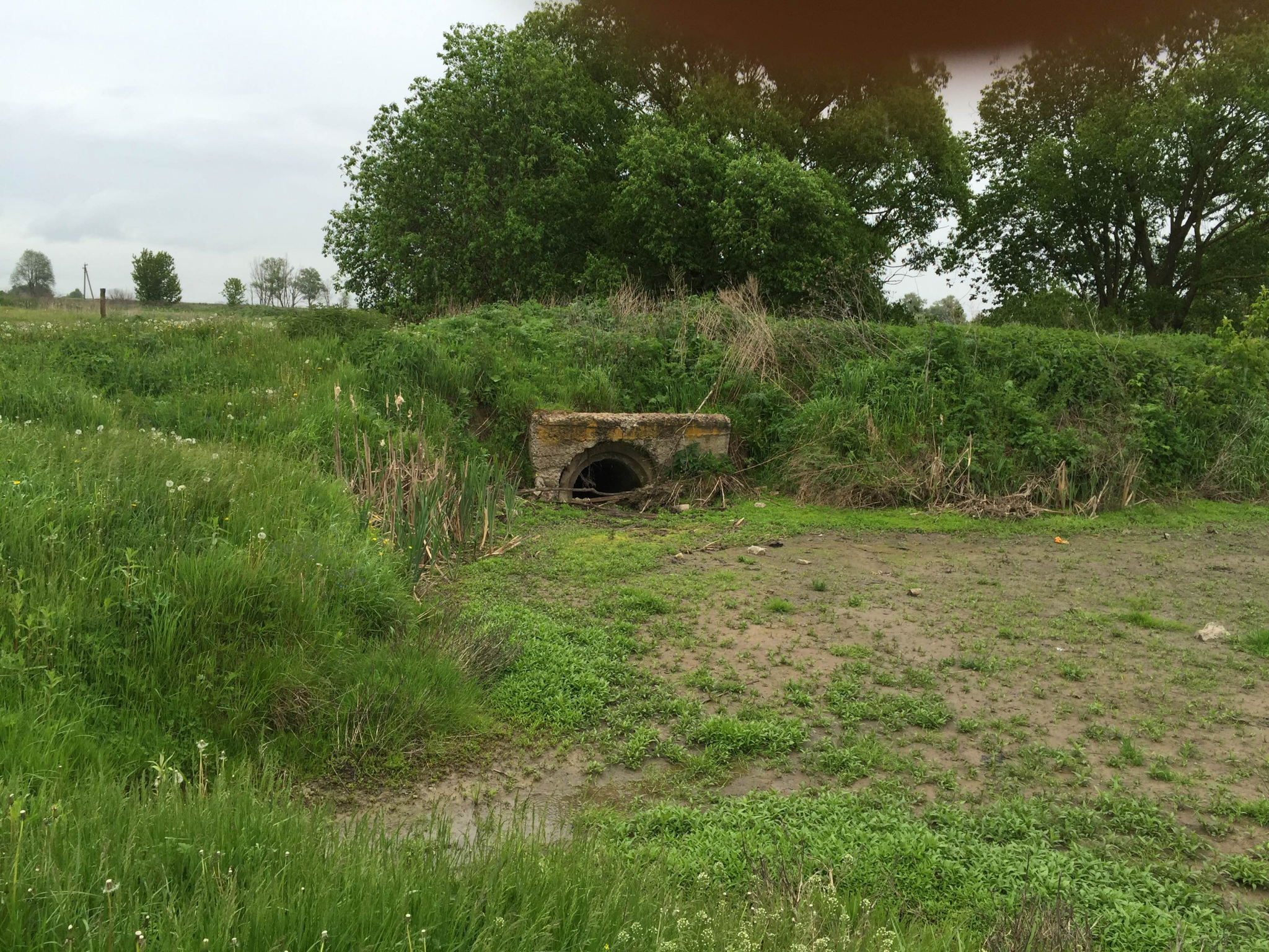 погода подлесные новоселки брянская. погода подлесные новоселки брянская. новоселки брянского района брянской области. барышье брянского района брянской области. село орлия севского района брянской области.