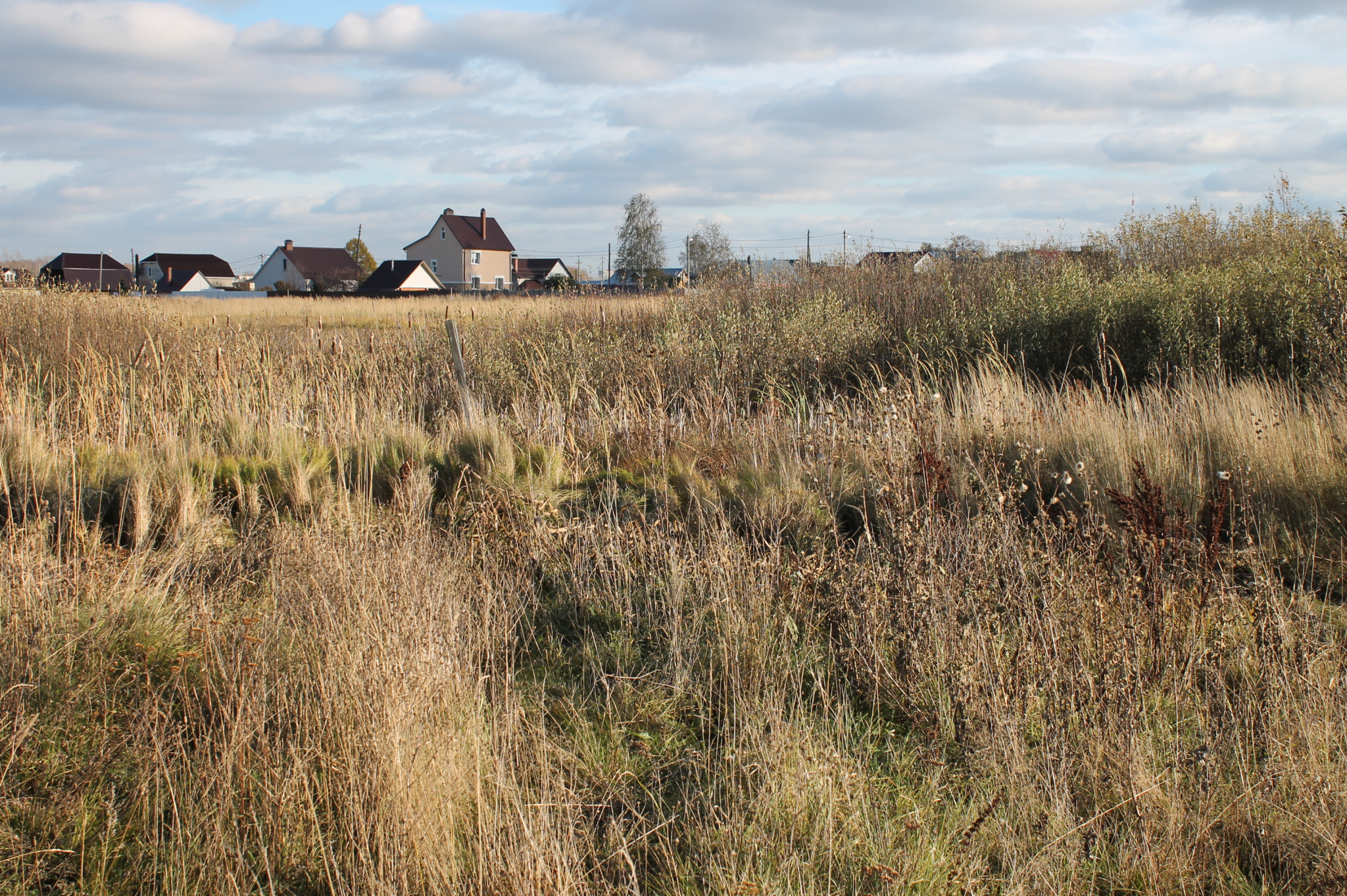 участки многодетных семей орехово-зуевском округе. участки для многодетных семей. деньги вместо участка для многодетных. земельные участки для многодетных на бору. участок многодетным семьям карелия.