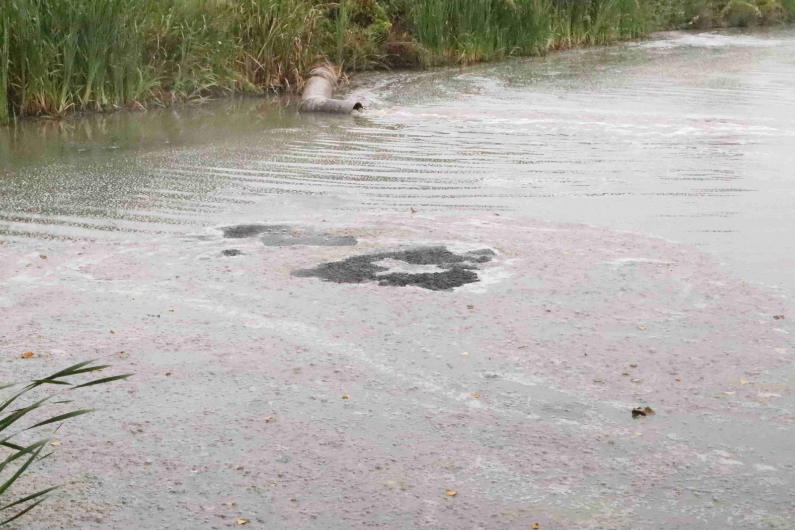 Вода идет. Загрязнение рек. Загрязненный водоем. Река. Купаться в реке.