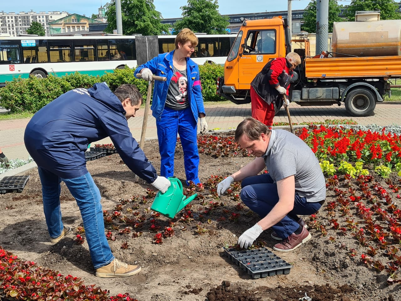 Калининское садово парковое хозяйство санкт петербург. Садово-Парковое хозяйство СПБ. Садово-Парковое хозяйство Выборгского района Санкт-Петербурга. Мастер садово-паркового хозяйства вакансии СПБ.