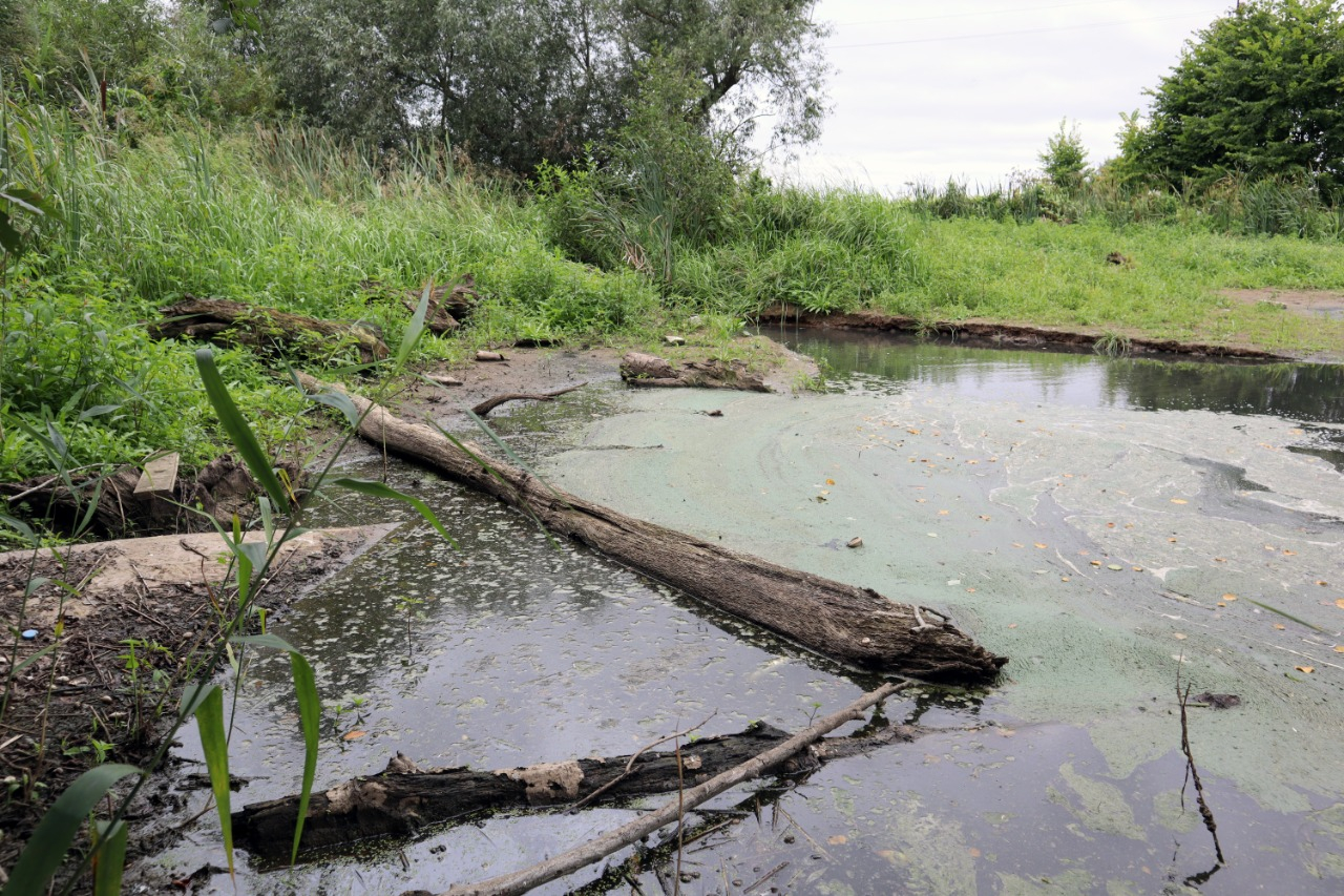 Река нельзя. Река Каменка Татарстан. Загрязнение воды в Татарстане. Загрязнение реки Каменка. Загрязненная река в Татарстане.