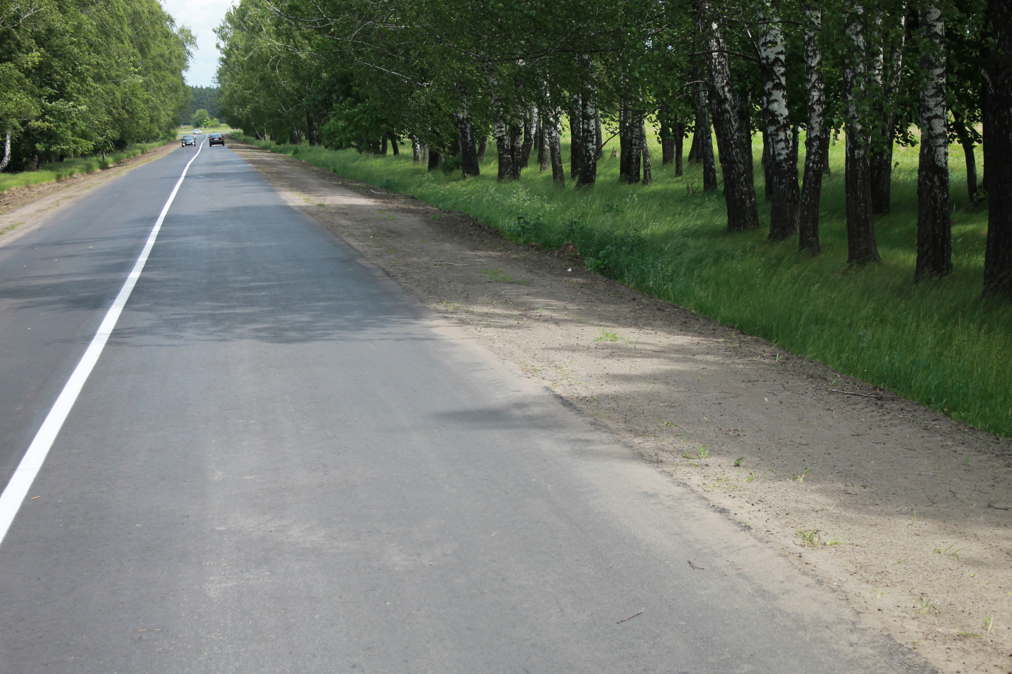 Народные дороги. Курск Рыльск дорога. Дорога Рыльск Коренево. Автомобильные дороги Курской области. Коренево дорога.