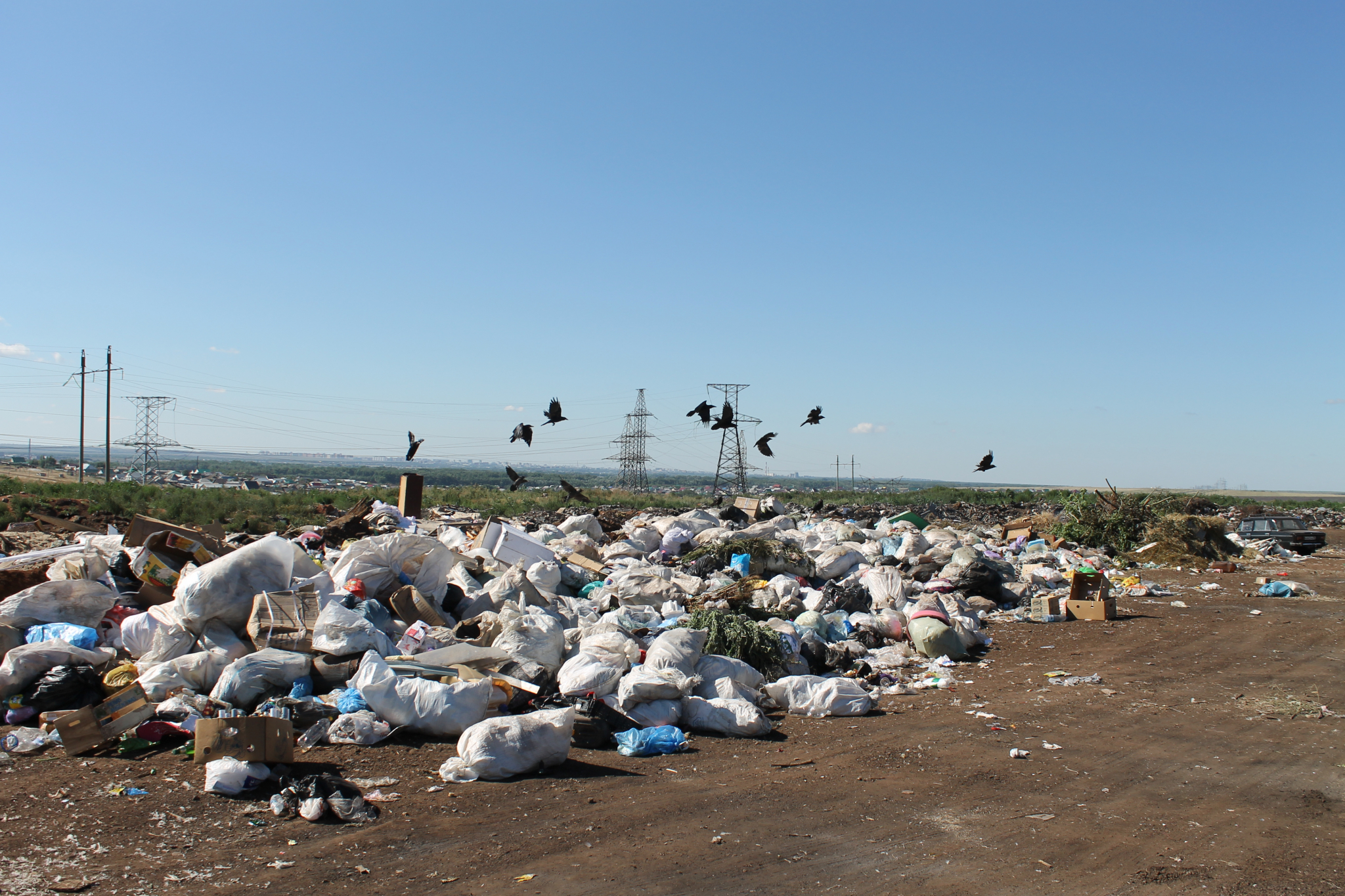 Картинки ОХРАНА ОКРУЖАЮЩЕЙ СРЕДЫ ОРЕНБУРГСКОЙ