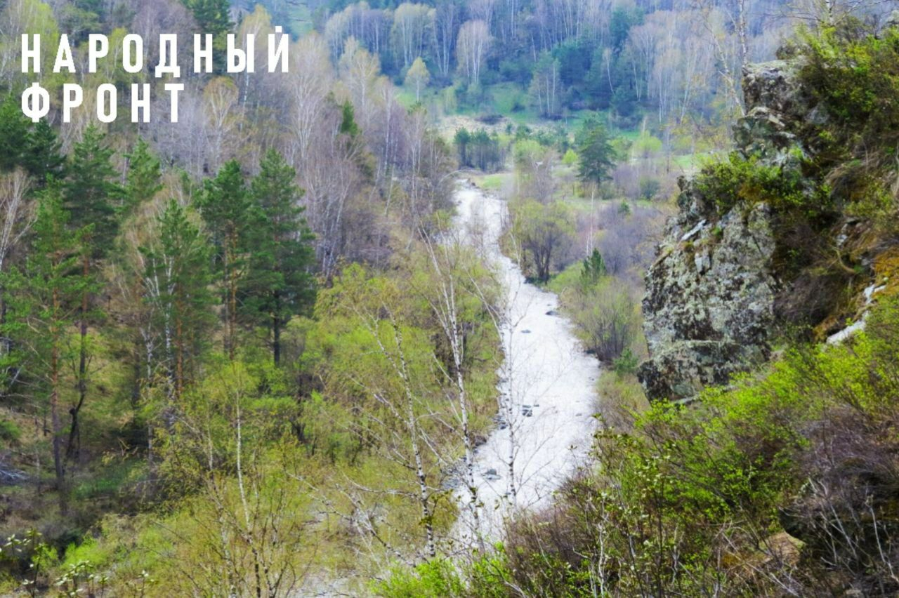 Ленточные леса Алтайского края