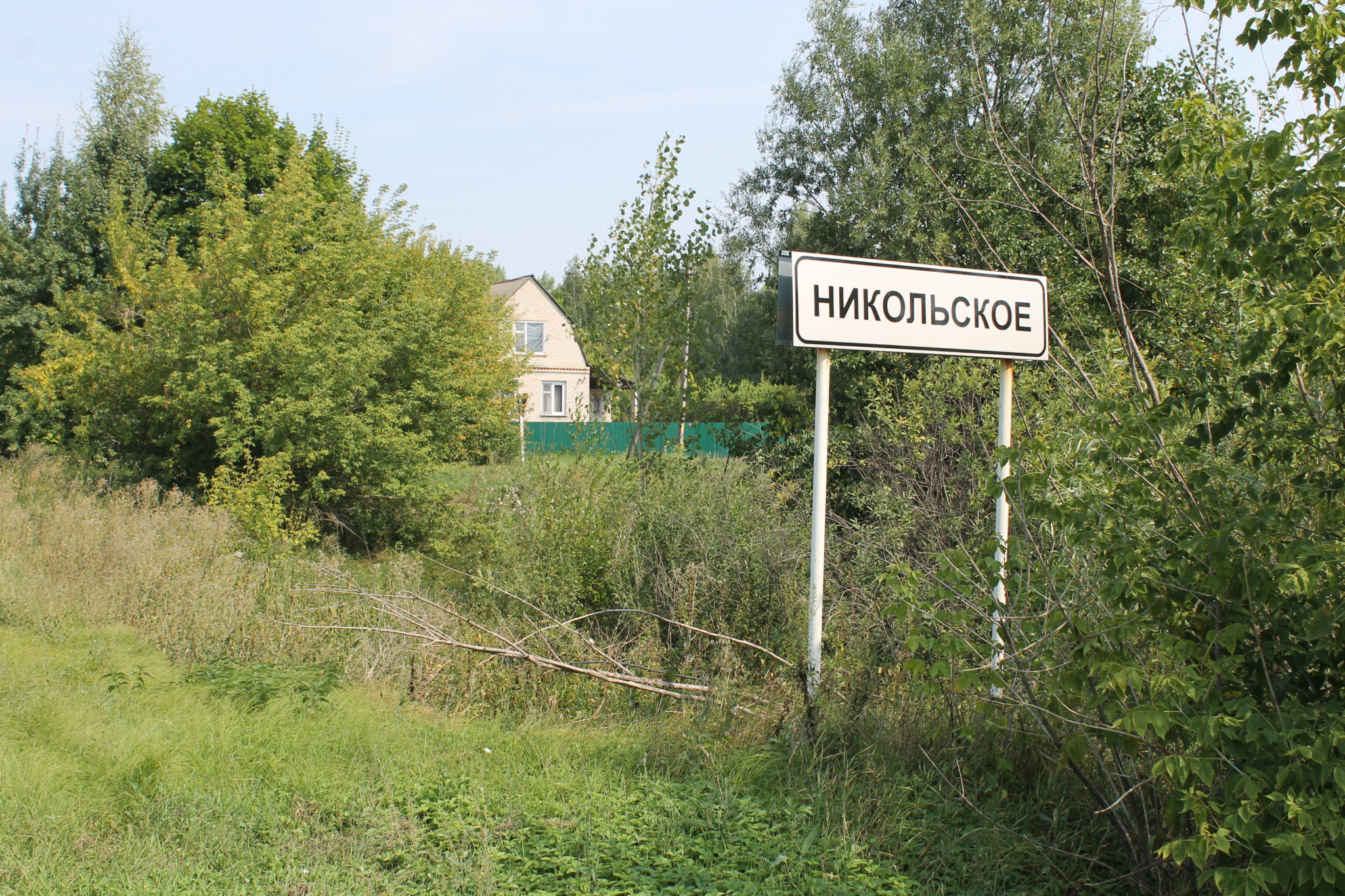 Погода в никольском воронежской области. Никольское Воронеж. Посёлок Никольское Воронеж. Посёлок Никольское Верхнехавский район. Никольское Воронежская область Верхнехавский район.