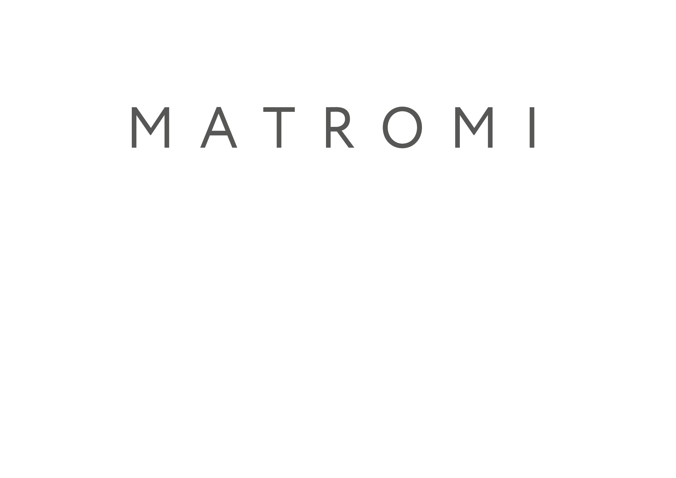 Логотип компании MATROMI