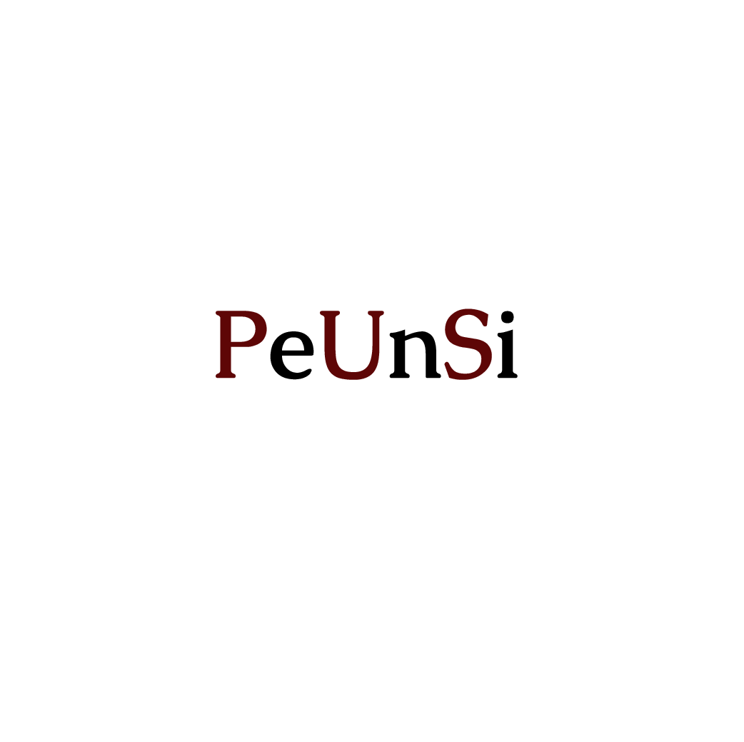 Логотип компании PeUnSi