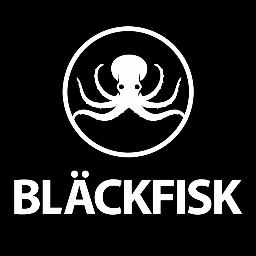 Логотип компании BLACKFISK