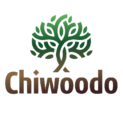Логотип компании Chiwoodo