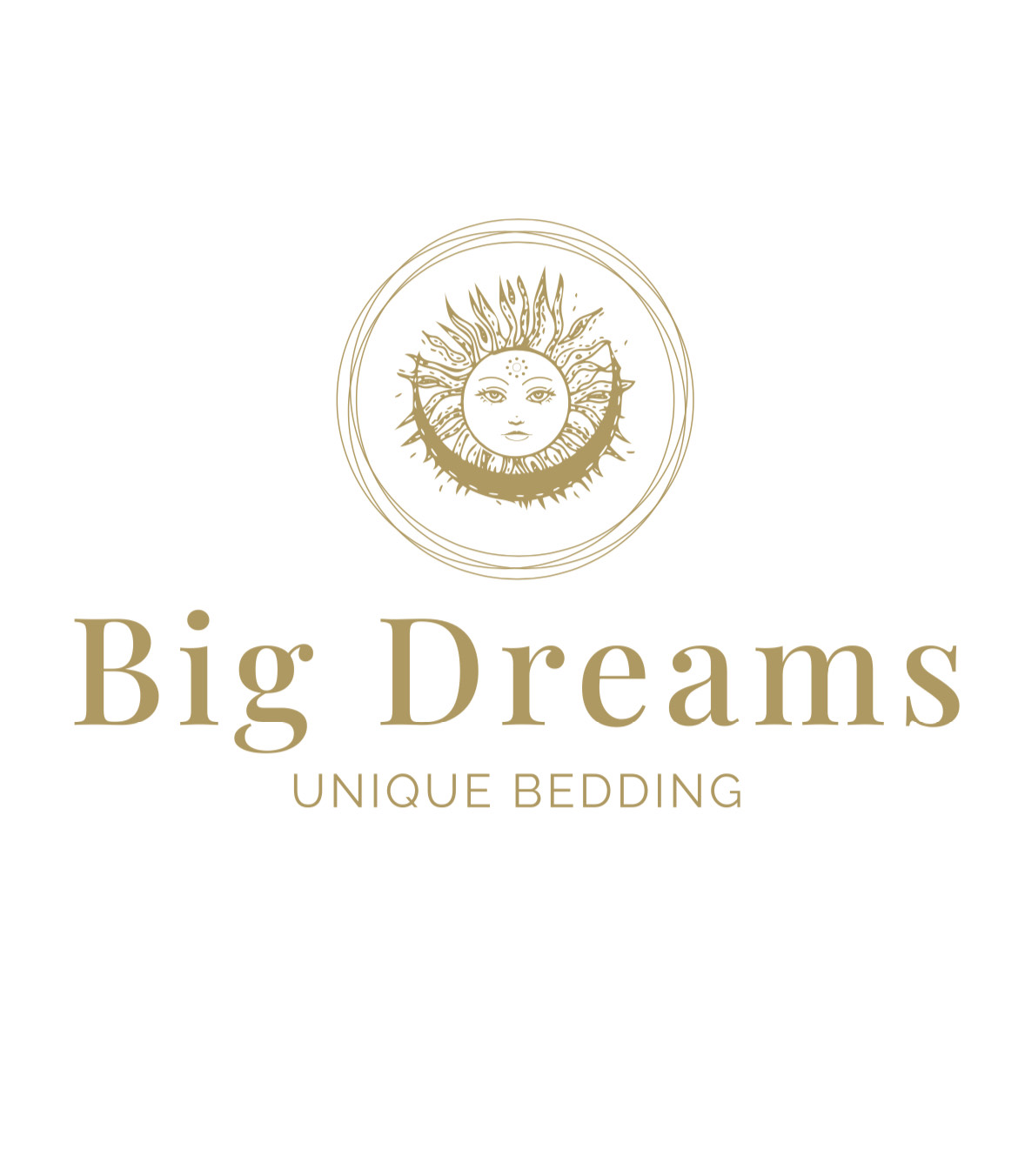 Логотип компании Big Dreams