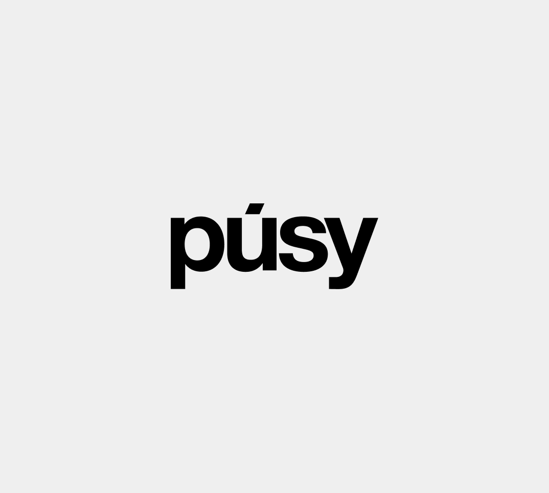 Логотип компании PUSY