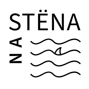Логотип компании NaSTËNA