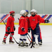 Игрушка Ястреб