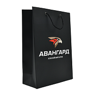 Подарочный пакет (23*32)