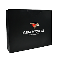 Подарочный пакет (50*40)