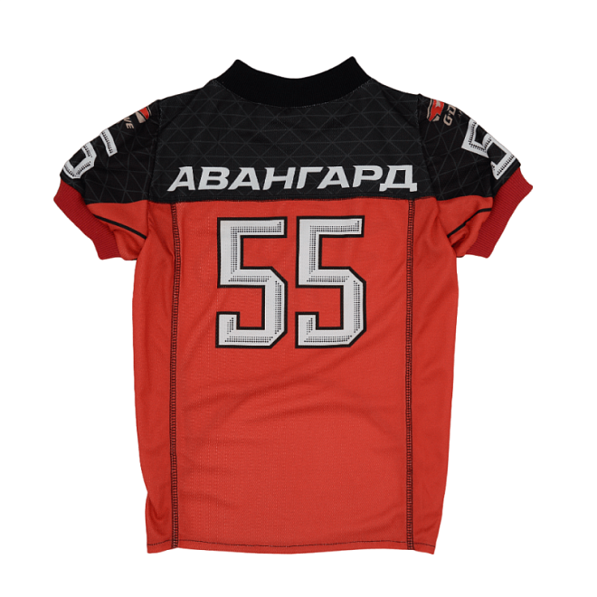 Авангард