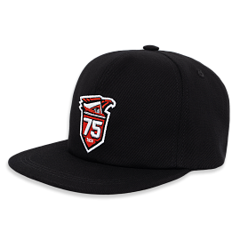 Бейсболка снэпбэк