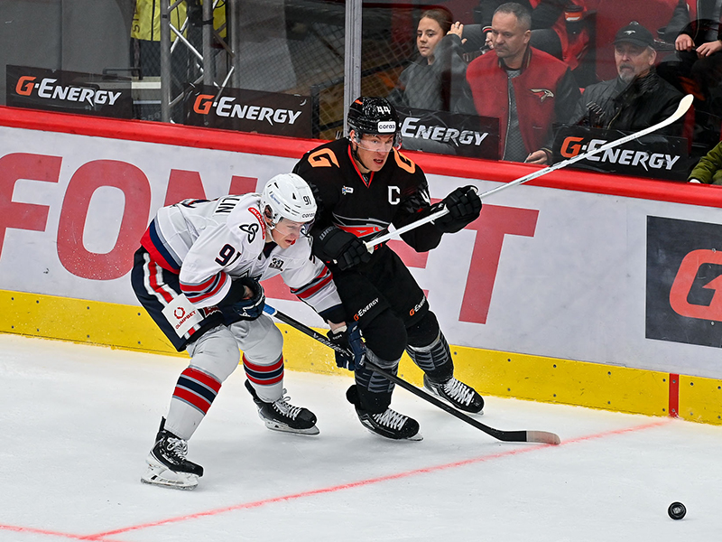 Наш соперник в первом раунде плей-офф: «Нефтехимик» (Нижнекамск)